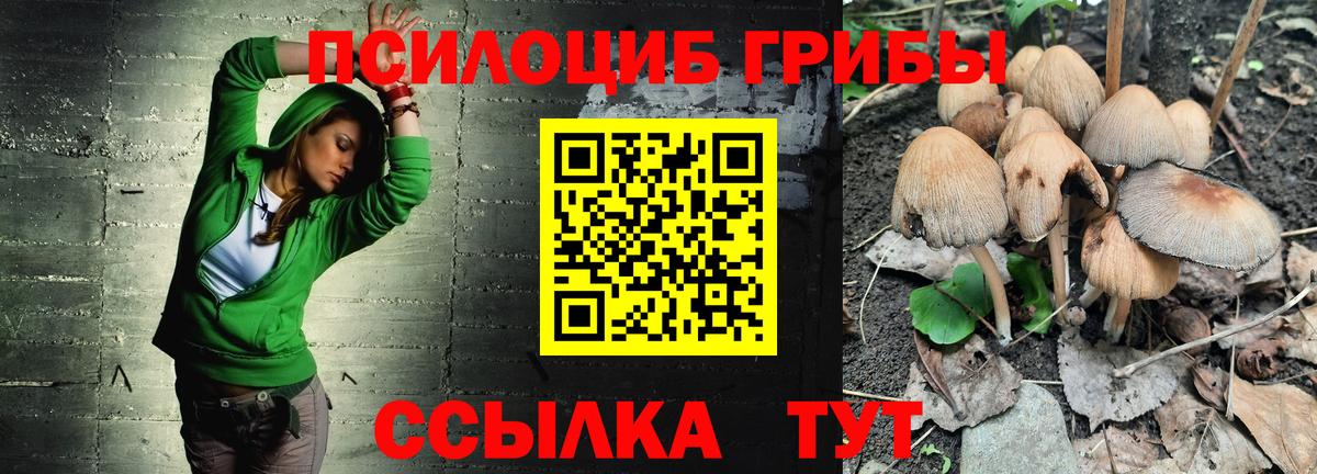 Уссурийск  Псилоцибиновые грибы Cubensis  Вход с VPN 
